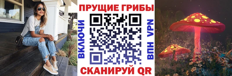 гидра зеркало  Карабаш  Псилоцибиновые грибы GOLDEN TEACHER 